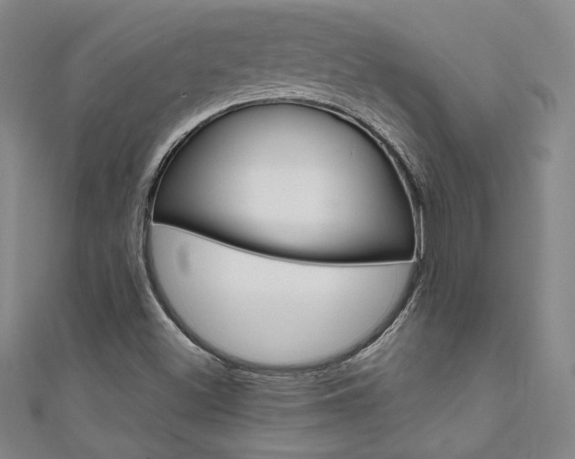 X0000111651500200907171048