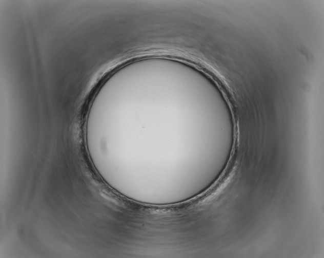 X0000111651501200907171048