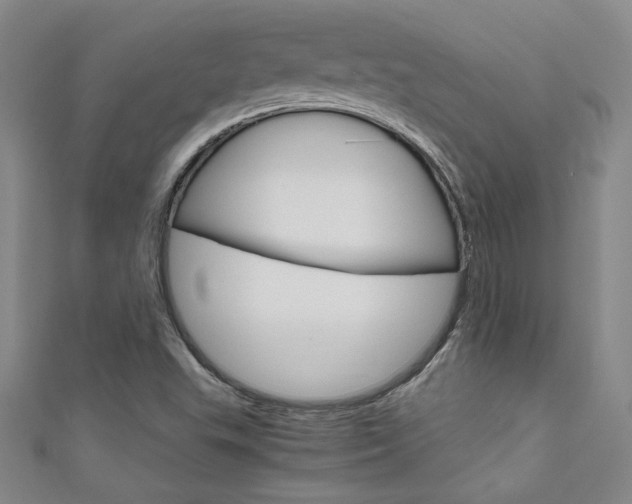 X0000111651503200907171048