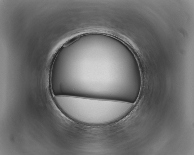 X0000111651504200907171048