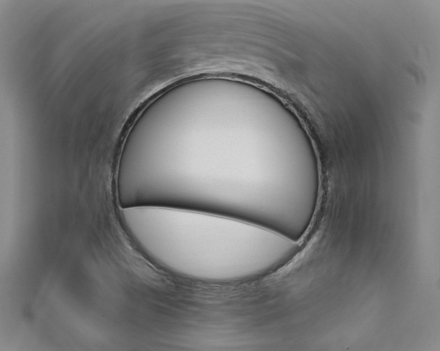 X0000111651505200907171048