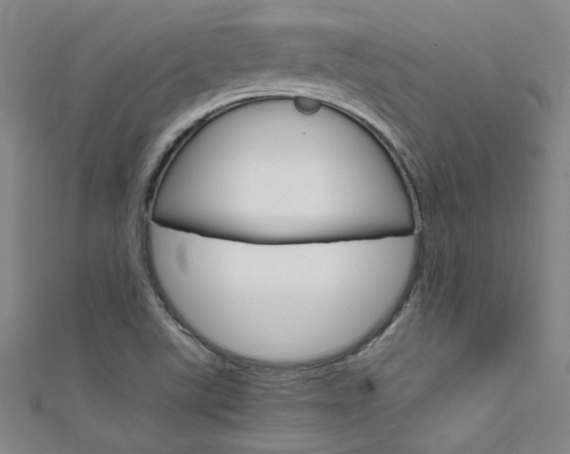 X0000111651507200907171048