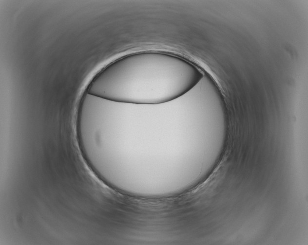 X0000111651508200907171048