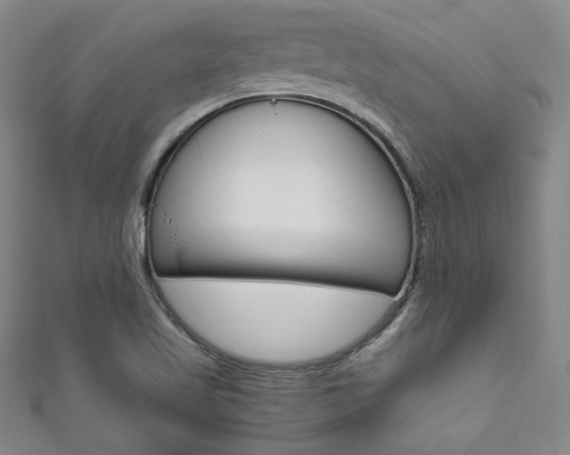 X0000111651509200907171048