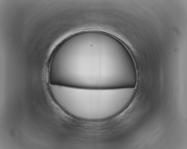 X0000111651510200907171048