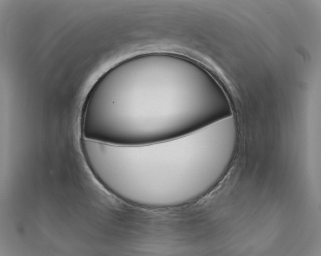 X0000111651512200907171048