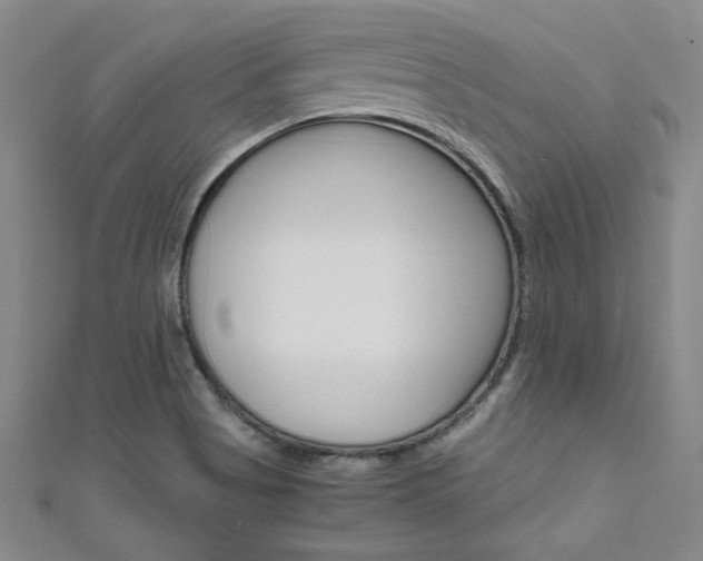 X0000111651513200907171048
