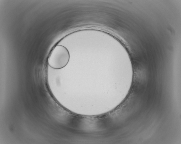 X0000111651514200907171048