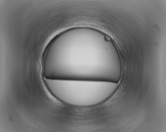 X0000111651515200907171048