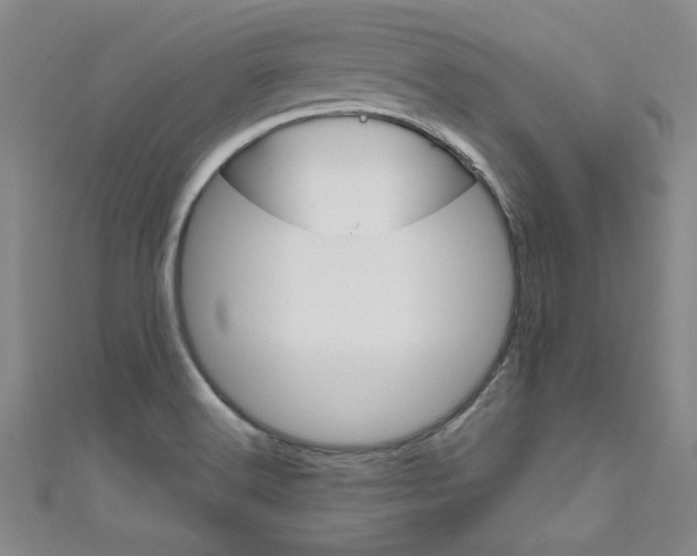 X0000111651516200907171048