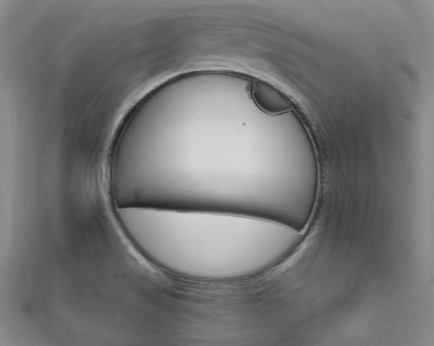 X0000111651517200907171048