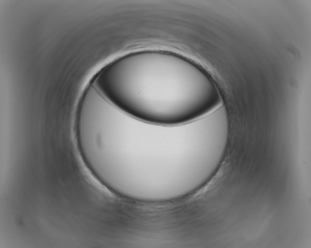 X0000111651518200907171048