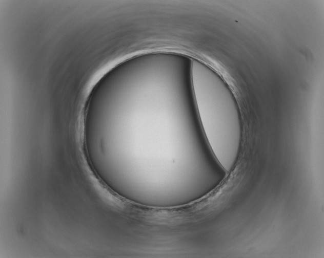 X0000111651520200907171048