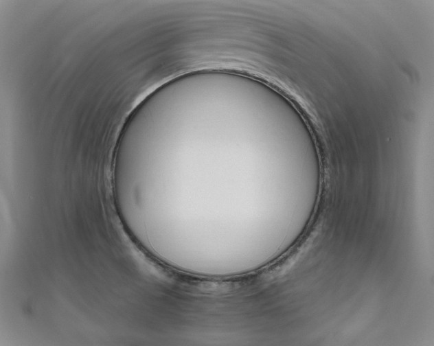 X0000111651521200907171048