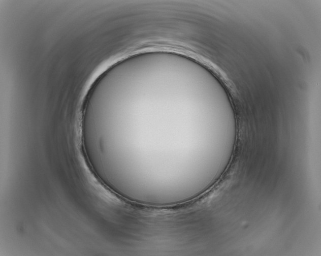 X0000111651522200907171048