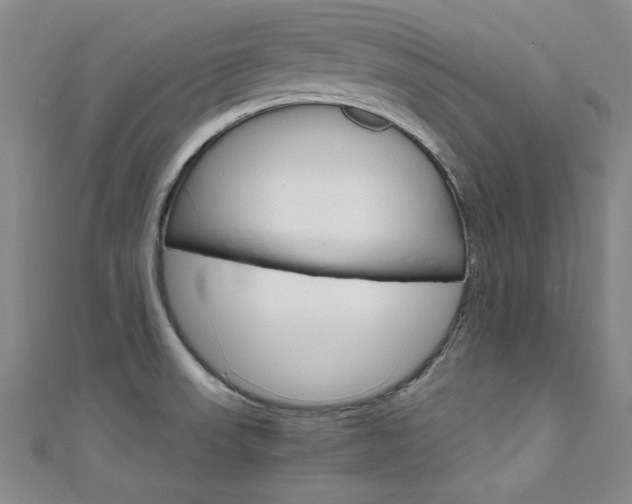 X0000111651523200907171048