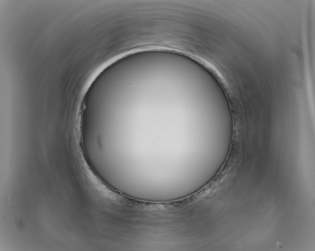 X0000111651524200907171048