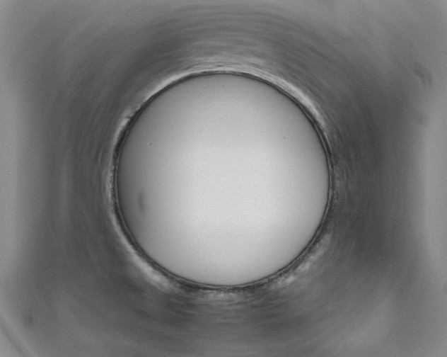 X0000111651525200907171048