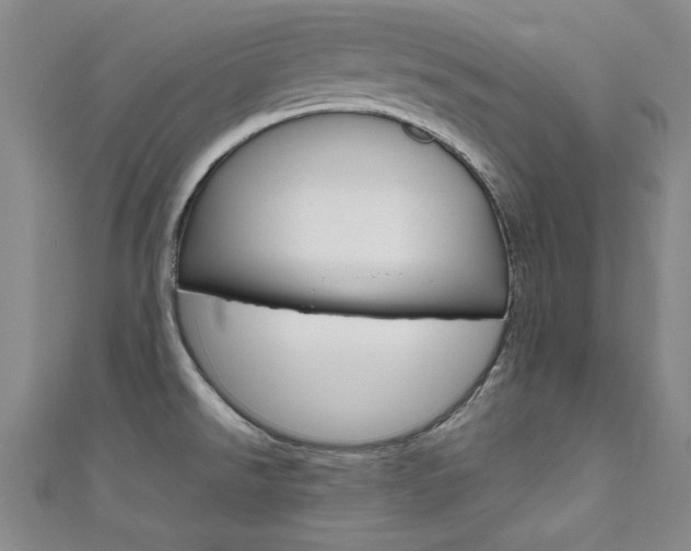 X0000111651526200907171048