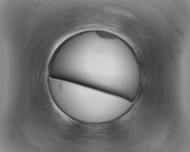 X0000111651527200907171048