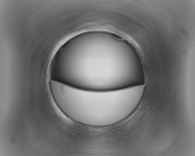 X0000111651528200907171048