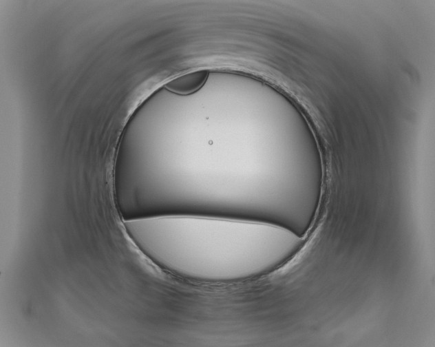 X0000111651529200907171048