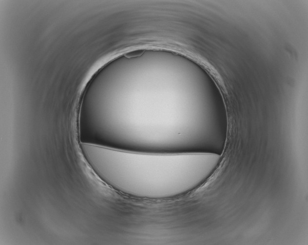 X0000111651530200907171048