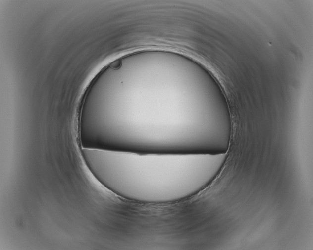 X0000111651531200907171048
