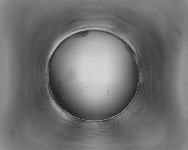 X0000111651532200907171048