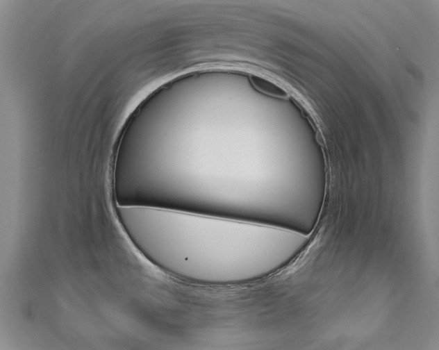X0000111651533200907171048