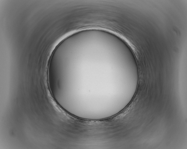 X0000111651534200907171048