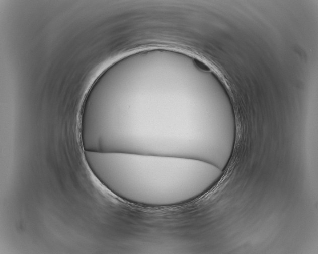 X0000111651535200907171048