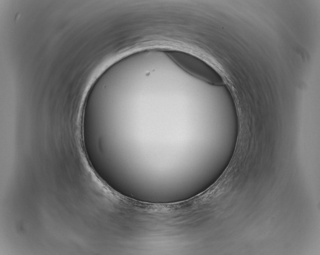 X0000111651536200907171048