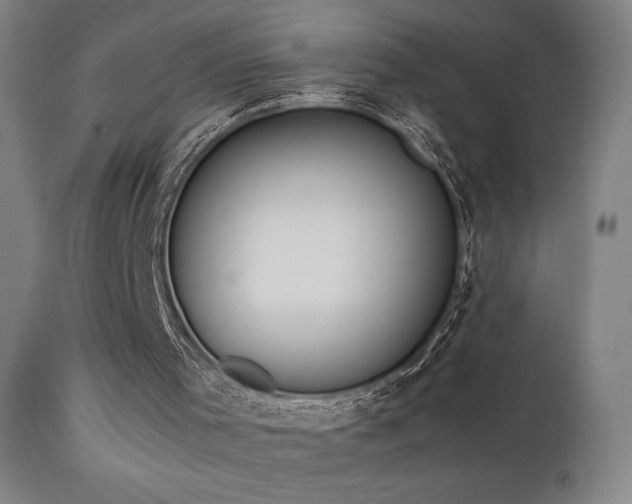 X0000111650001200907171556
