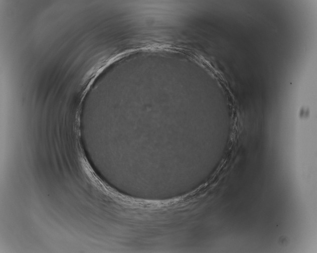 X0000111650002200907171556