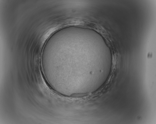 X0000111650003200907171556