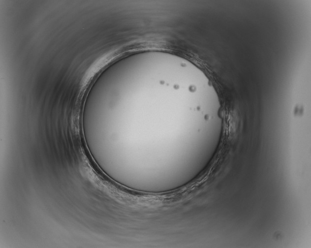 X0000111650004200907171556