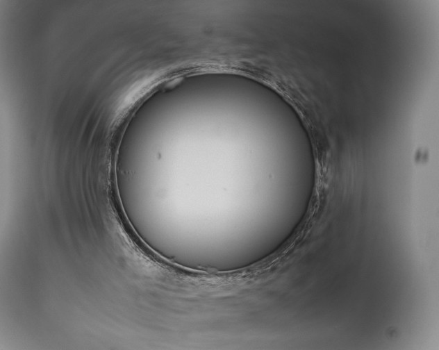 X0000111650005200907171556
