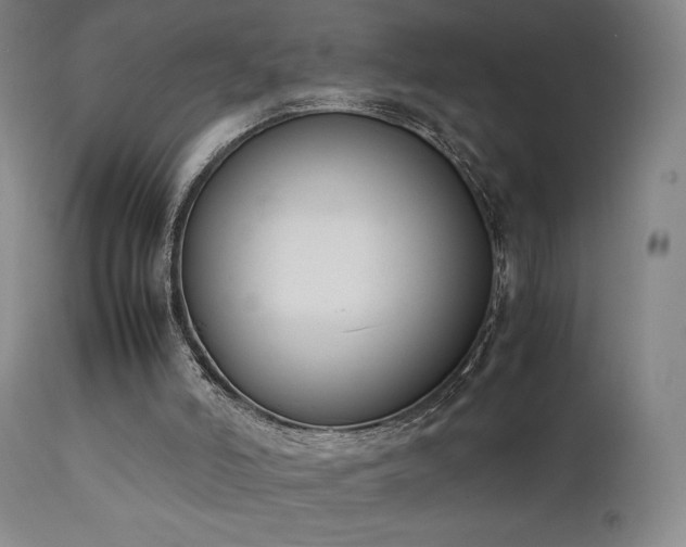 X0000111650006200907171556