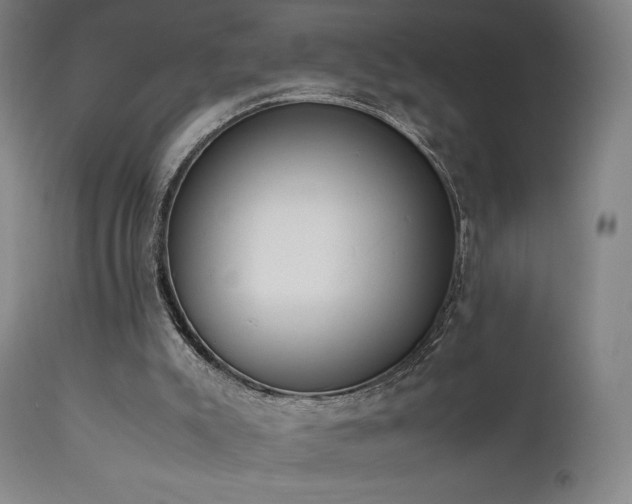 X0000111650007200907171556