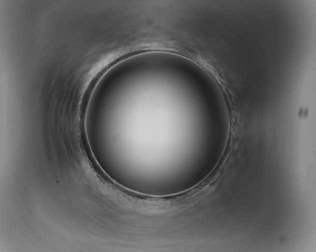X0000111650008200907171556