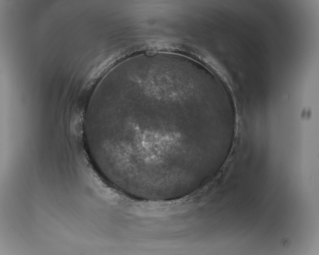 X0000111650009200907171556