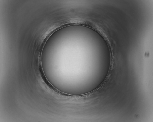 X0000111650011200907171556