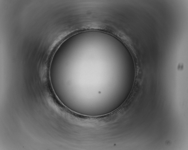 X0000111650012200907171556