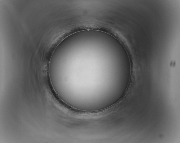 X0000111650017200907171556
