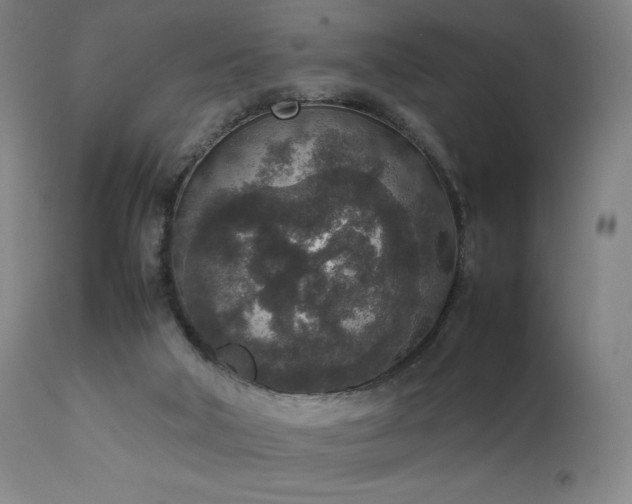 X0000111650018200907171556