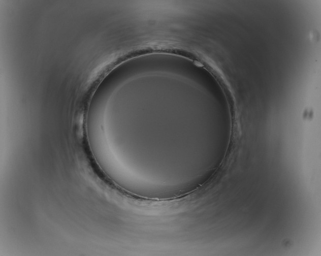 X0000111650019200907171556