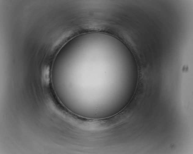 X0000111650020200907171556