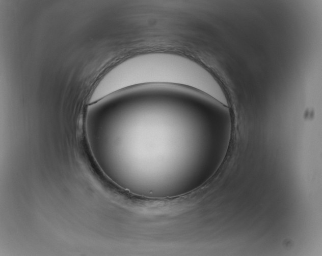 X0000111650021200907171556