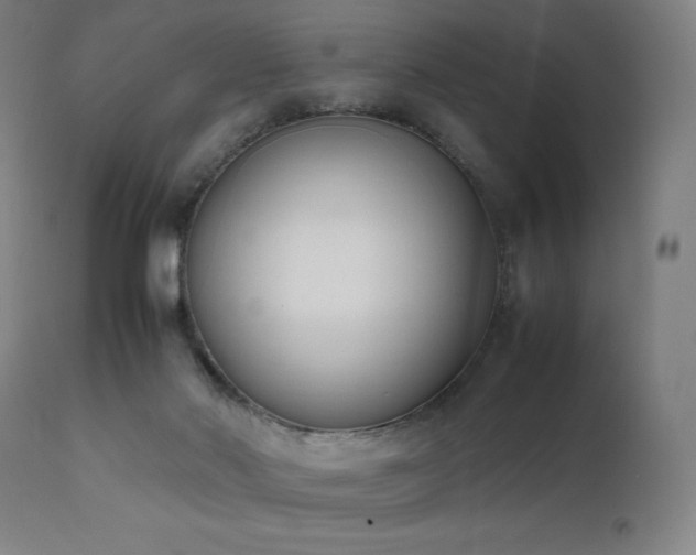 X0000111650022200907171556